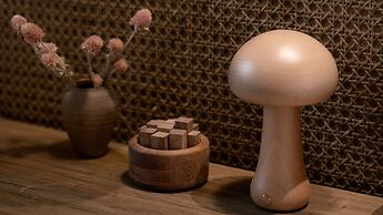 Shishe Spring Designer Homestay