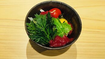 Nara Kasuga Kanoya