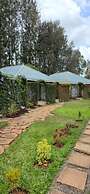 Trotters Hotel