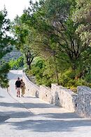 Massari Hills- Villa Finis Terrae 2