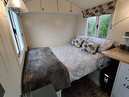 Duck House - 1 Bed Shepherds Hut - Gower