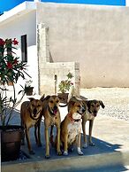 Casa Loto B