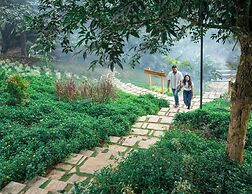 Vanani Resort and Caravan Park Munnar