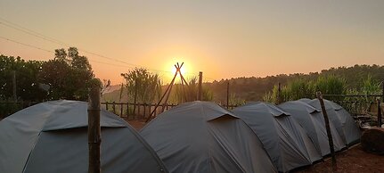 Yuva Yatri Campsite