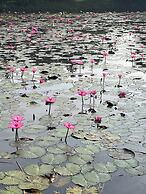 Waterlily Resort Sreemangal
