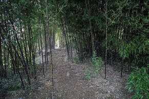 Bosque da Fantasia