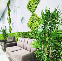 Balboa Avenue Sky Suites