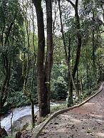 Nirjhara Coorg