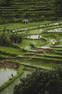 Camaya Bali
