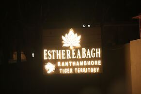Estherea Bagh RanthambhoreTigerTerritory
