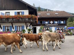 Nagelfluhhaus Hirsch