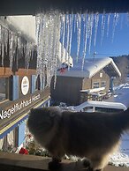 Nagelfluhhaus Hirsch