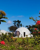 Bubble Glamping King Bed, we Have a 8 Units Like This!