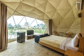 Bubble Glamping King Bed, we Have a 8 Units Like This!