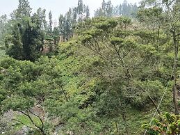 Dua Puteri Homestay Bromo