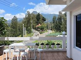Pulmo Guesthouse Bromo