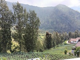 Pulmo Guesthouse Bromo