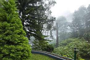 Bracknell Resort Munnar