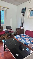 Chipaskot Spot