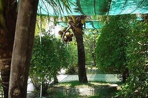 AHHA Bungalow Kampot