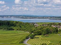The Hawthorn By Galway Bay