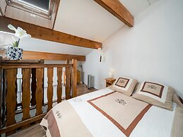 Modern Alpine Apartment in La Foux