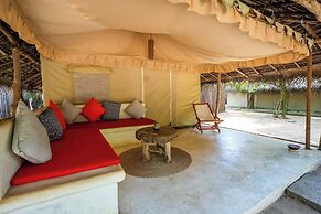 Dolphin Beach Resort