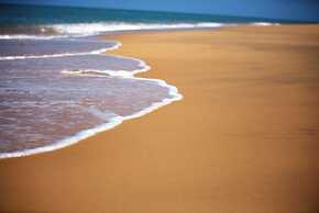 Dolphin Beach Resort