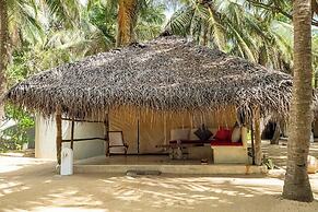 Dolphin Beach Resort