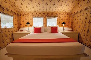 Dolphin Beach Resort