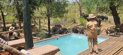 Khanya Conservation Camp