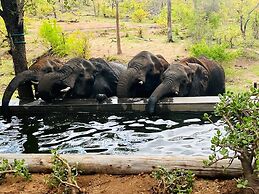 Khanya Conservation Camp
