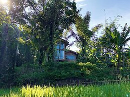 Hilltop Retreat Beneath Mt. Batukaru