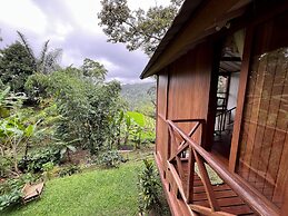 Hilltop Retreat Beneath Mt. Batukaru