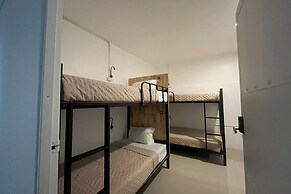 Lazy Lizard Hostel