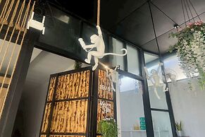 Lazy Lizard Hostel