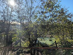 Night Experience By Zoo Bordeaux Pessac