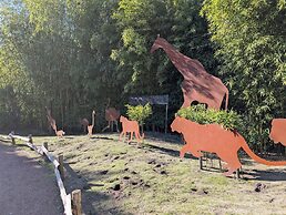 Night Experience By Zoo Bordeaux Pessac
