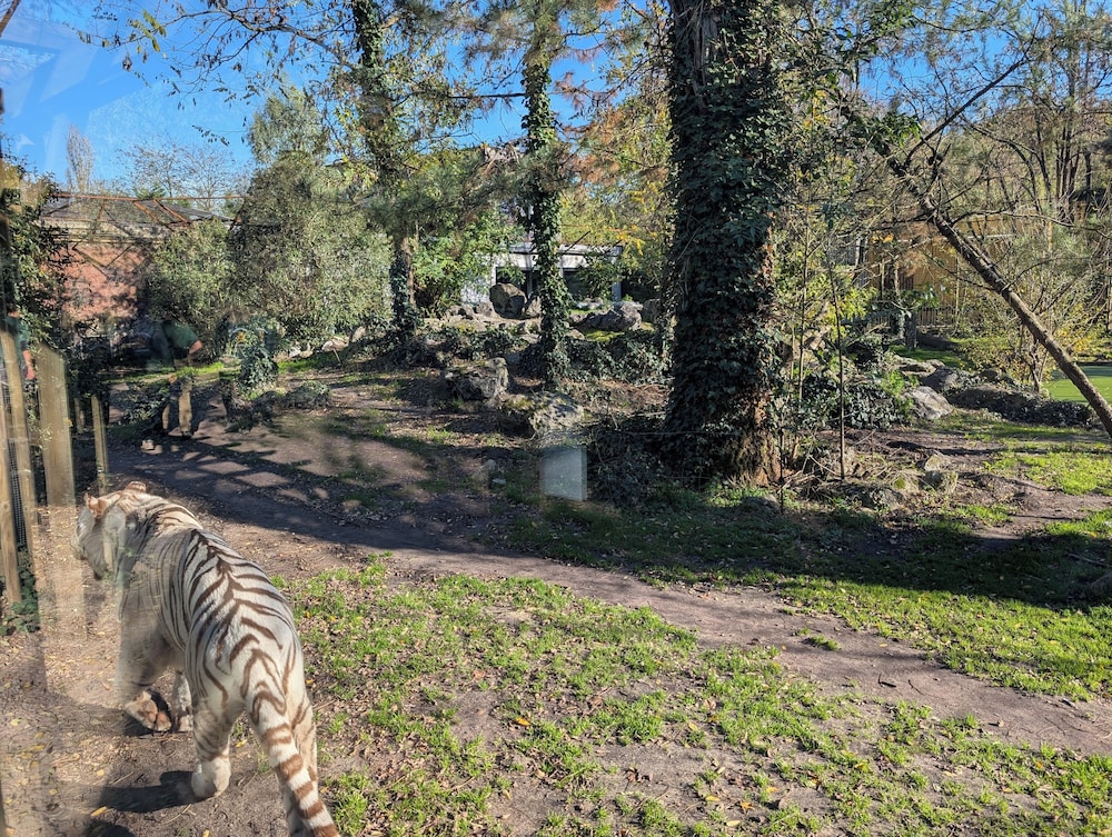 Night Experience By Zoo Bordeaux Pessac