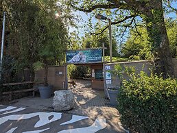 Night Experience By Zoo Bordeaux Pessac