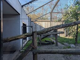 Night Experience By Zoo Bordeaux Pessac