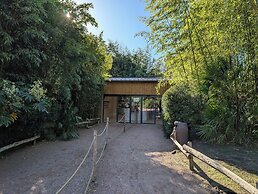 Night Experience By Zoo Bordeaux Pessac