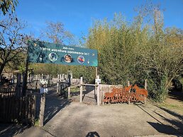Night Experience By Zoo Bordeaux Pessac