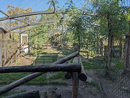 Night Experience By Zoo Bordeaux Pessac