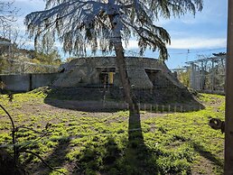 Night Experience By Zoo Bordeaux Pessac
