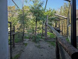 Night Experience By Zoo Bordeaux Pessac