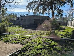 Night Experience By Zoo Bordeaux Pessac
