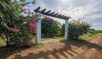 Le Sirenuse Paradise Haven in Culebra, Island