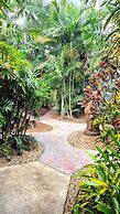 Rainforest Motel