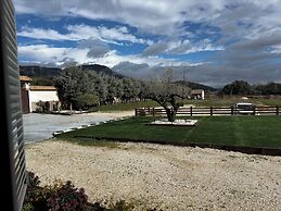FINCA AVELLANEDA